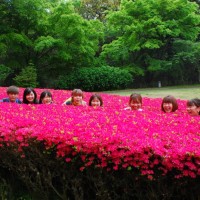 232A1D41-F541-438A-9D51-87333DE8B6C8