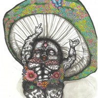 準グランプリ　熊本大教育学部附属中学　2年生